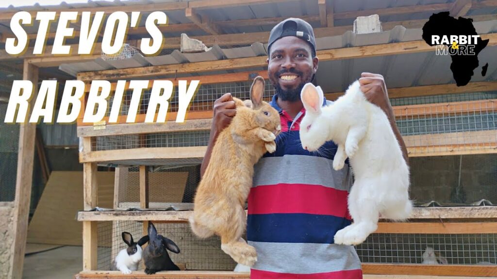 200 Rabbits in 9 Months, The Story of a Young Ghanaian Rabbit Farmer.