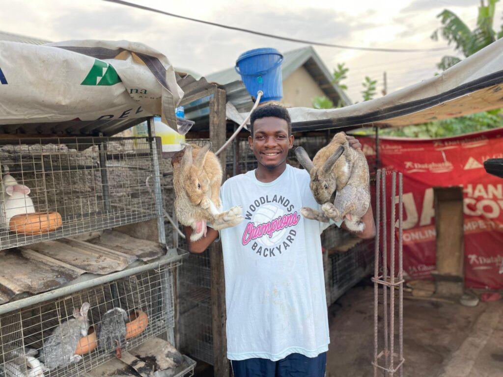 Journey to Success: The Rabbit Farming Story of Adanko Palace